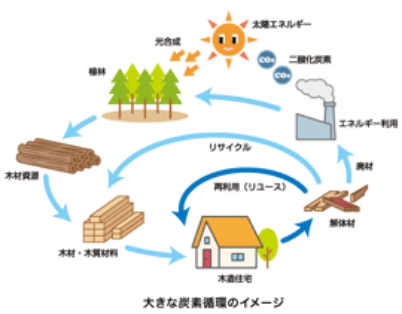 大きな炭素循環のイメージ
