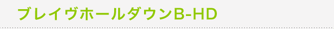 �u���C���z�[���_�E��B-HD