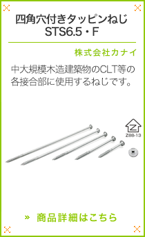 �l�p���t���^�b�s���˂��@STS6.5�EF