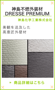 �_���s�R�O����DRESSE PREMIUM