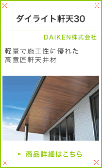 �_�C���C�g���V30