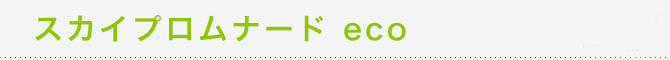 �X�J�C�v�����i�[�h Eco