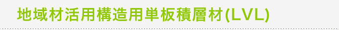 �n��ފ��p�\���p�P�ϑw��(LVL)