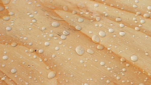 �����n���̝����{���܁u�V�g�̏����n�v