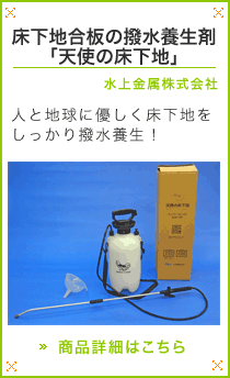 �����n���̝����{���܁u�V�g�̏����n�v