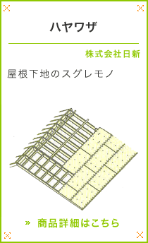 �n�����U