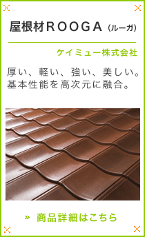 ������ROOGA�i���[�K�j